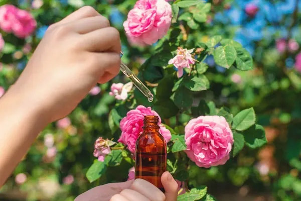 Şişede gül yağı var. Seçici odaklanma. Spa.