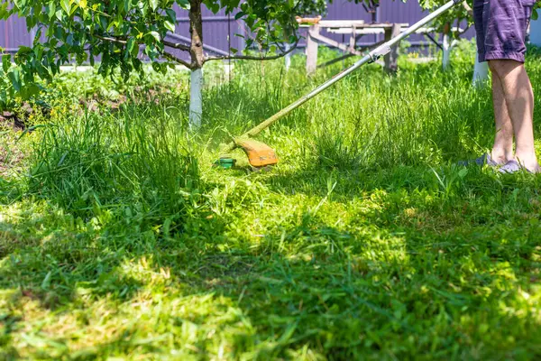 Bahçedeki çimleri biçin. Seçici odaklanma. Doğa.