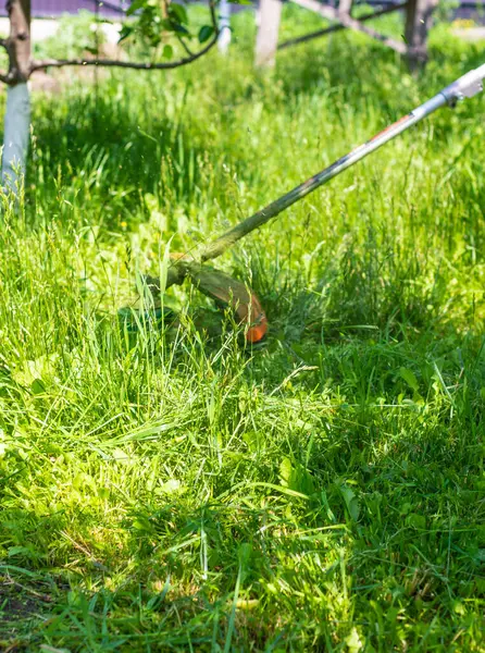 Bahçedeki çimleri biçin. Seçici odaklanma. Doğa.