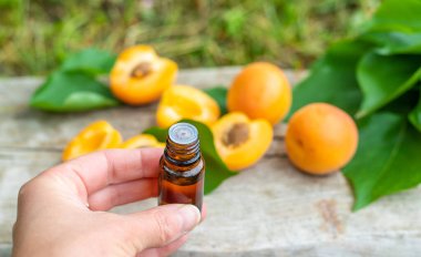 Kayısı yağı şişede. Seçici odaklanma. Yiyecek..