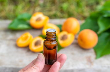 Kayısı yağı şişede. Seçici odaklanma. Yiyecek..