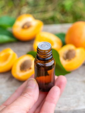 Kayısı yağı şişede. Seçici odaklanma. Yiyecek..