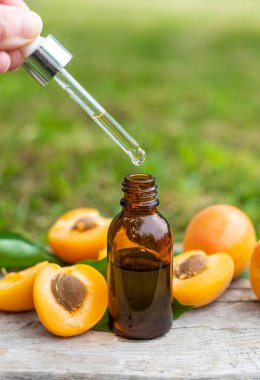 Kayısı yağı şişede. Seçici odaklanma. Yiyecek..