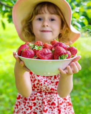 Bahçesinde çilek olan çocuk. Seçici odaklanma. Çocuk.