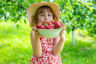 Bahçesinde çilek olan çocuk. Seçici odaklanma. Çocuk.