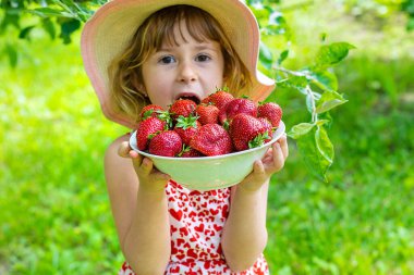 Bahçesinde çilek olan çocuk. Seçici odaklanma. Çocuk.
