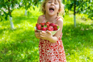 Bahçesinde çilek olan çocuk. Seçici odaklanma. Çocuk.