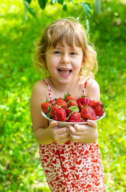 Bahçesinde çilek olan çocuk. Seçici odaklanma. Çocuk.