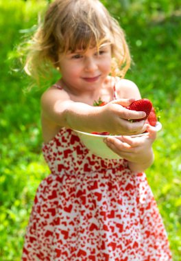 Bahçesinde çilek olan çocuk. Seçici odaklanma. Çocuk.