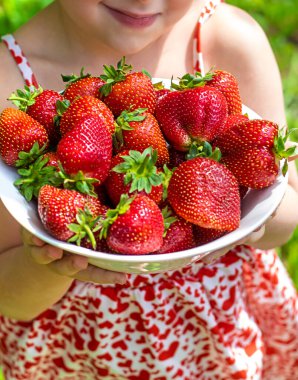 Bahçesinde çilek olan çocuk. Seçici odaklanma. Çocuk.