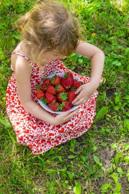 Bahçesinde çilek olan çocuk. Seçici odaklanma. Çocuk.