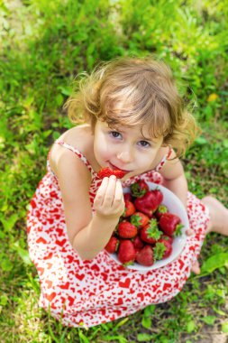 Bahçesinde çilek olan çocuk. Seçici odaklanma. Çocuk.