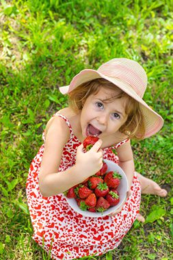 Bahçesinde çilek olan çocuk. Seçici odaklanma. Çocuk.