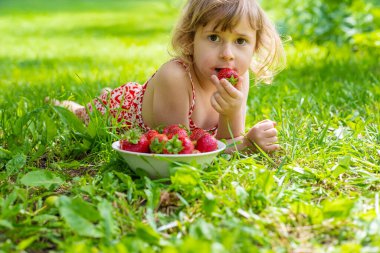 Bahçesinde çilek olan çocuk. Seçici odaklanma. Çocuk.