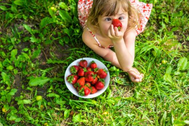 Bahçesinde çilek olan çocuk. Seçici odaklanma. Çocuk.
