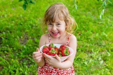 Bahçesinde çilek olan çocuk. Seçici odaklanma. Çocuk.