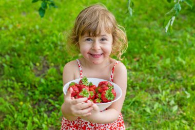 Bahçesinde çilek olan çocuk. Seçici odaklanma. Çocuk.