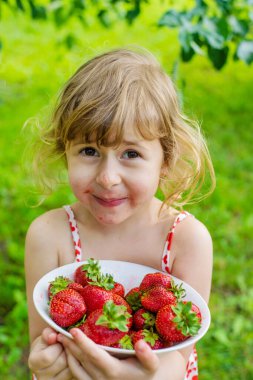 Bahçesinde çilek olan çocuk. Seçici odaklanma. Çocuk.
