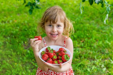 Bahçesinde çilek olan çocuk. Seçici odaklanma. Çocuk.