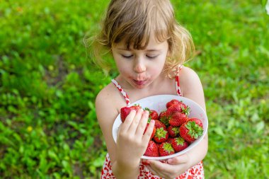 Bahçesinde çilek olan çocuk. Seçici odaklanma. Çocuk.