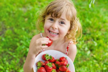Bahçesinde çilek olan çocuk. Seçici odaklanma. Çocuk.