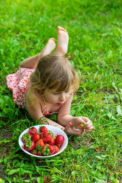Bahçesinde çilek olan çocuk. Seçici odaklanma. Çocuk.