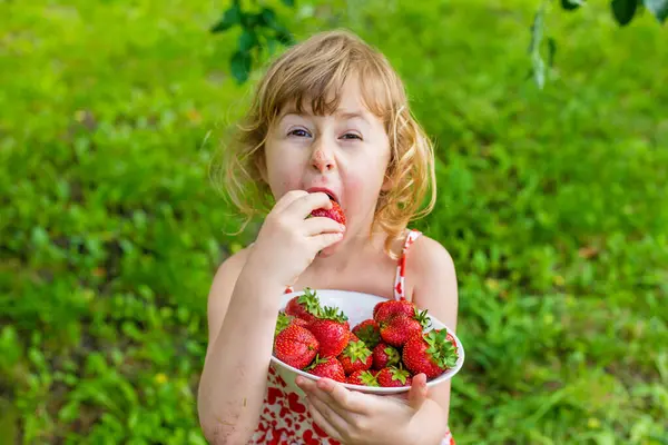Bahçesinde çilek olan çocuk. Seçici odaklanma. Çocuk.