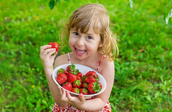 Bahçesinde çilek olan çocuk. Seçici odaklanma. Çocuk.