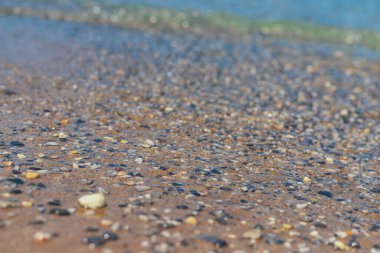 Deniz kıyısındaki taşlar. Seçici odaklanma. deniz.