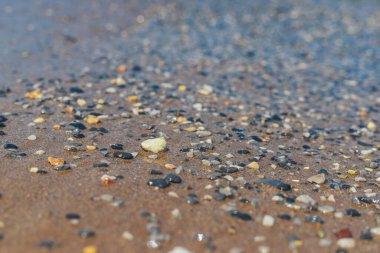 Deniz kıyısındaki taşlar. Seçici odaklanma. deniz.