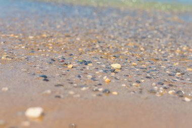 Deniz kıyısındaki taşlar. Seçici odaklanma. deniz.