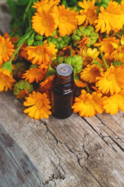 Tıbbi bitki takvimi homeopati. Seçici odaklanma. Doğa.