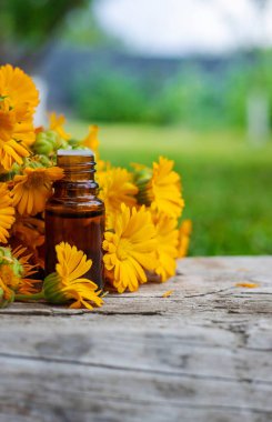 Tıbbi bitki takvimi homeopati. Seçici odaklanma. Doğa.