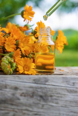 Tıbbi bitki takvimi homeopati. Seçici odaklanma. Doğa.
