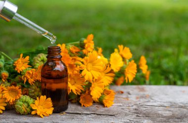 Tıbbi bitki takvimi homeopati. Seçici odaklanma. Doğa.