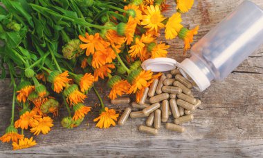 Tıbbi bitki takvimi homeopati. Seçici odaklanma. Doğa.