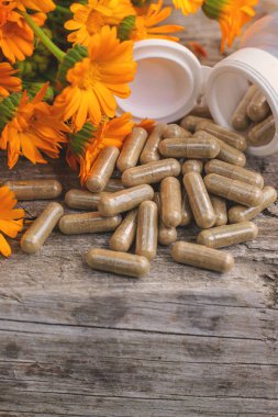 Tıbbi bitki takvimi homeopati. Seçici odaklanma. Doğa.