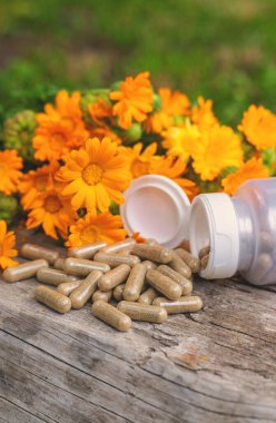 Tıbbi bitki takvimi homeopati. Seçici odaklanma. Doğa.