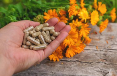 Tıbbi bitki takvimi homeopati. Seçici odaklanma. Doğa.