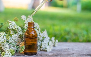 Kemik dokusu takviyesi ve konservatuar homeopati. Seçici odaklanma. Doğa.