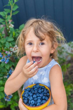 Çocuk ellerinde yabanmersini hasadı. Seçici odaklanma. Doğa.
