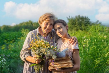 Şifalı otları olan bir kadın. Seçici odaklanma. Doğa.