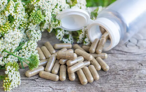 Kemik dokusu takviyesi ve konservatuar homeopati. Seçici odaklanma. Doğa.