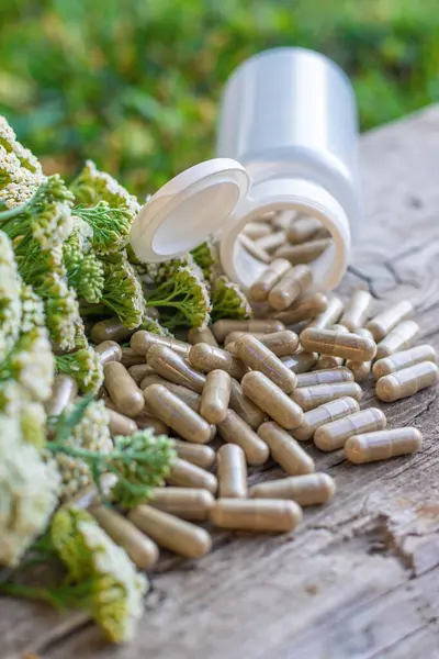 Kemik dokusu takviyesi ve konservatuar homeopati. Seçici odaklanma. Doğa.