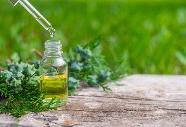 Thuja esaslı yağ ve takviyeler. Seçici odaklanma. Doğa.