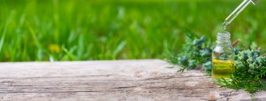 Thuja esaslı yağ ve takviyeler. Seçici odaklanma. Doğa.