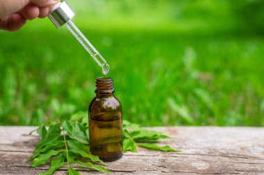 Moringa esaslı yağ ve takviyeler. Seçici odaklanma. Doğa.