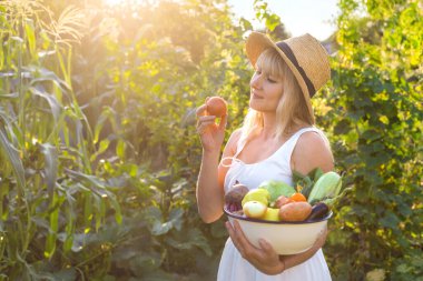 Bahçede bir kadınla sebze hasadı. Seçici odaklanma. Yiyecek..