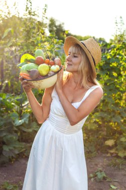 Bahçede bir kadınla sebze hasadı. Seçici odaklanma. Yiyecek..