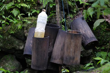 Bambu parçaları, palmiye ağaçları ve hindistan cevizi ağaçlarından su toplamak için kullanılır..
